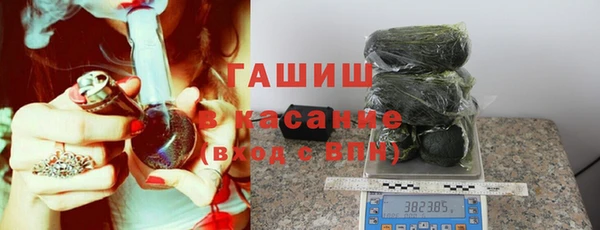 a pvp Бородино