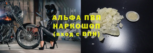 a pvp Бородино