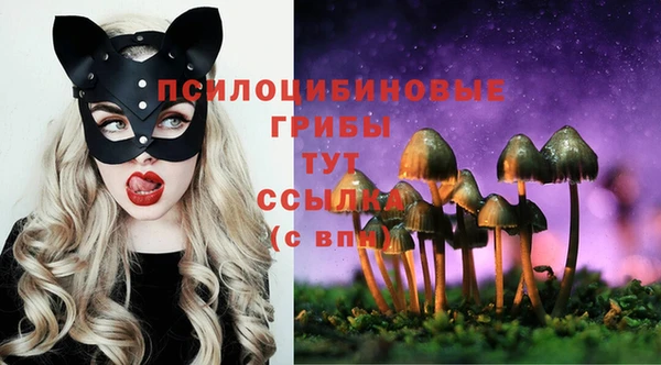 винт Бронницы