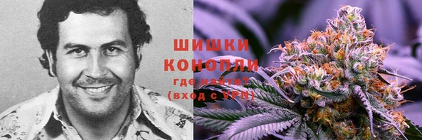 винт Бронницы