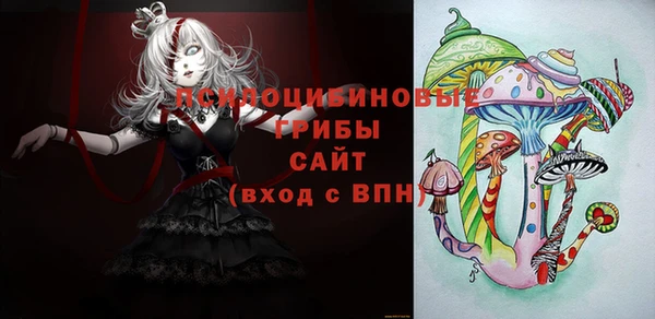 винт Бронницы