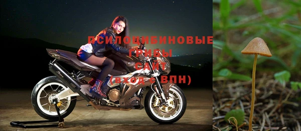 a pvp Бородино