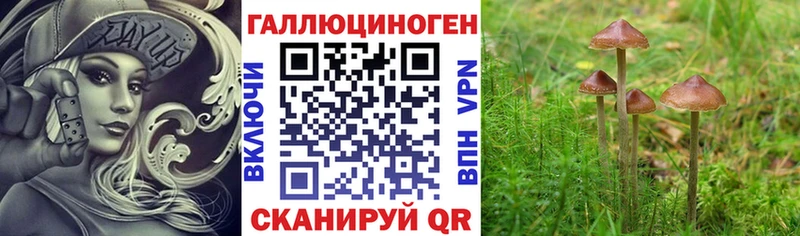Галлюциногенные грибы мухоморы  где можно купить   Димитровград 